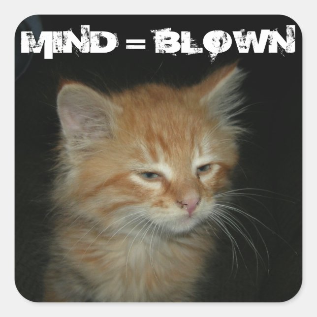 Stickers Kitty "MIND = BLOWN" - Set 20 (Devant)