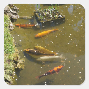 Stickers Koi Fish #3