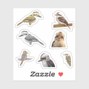 Stickers Kookaburra