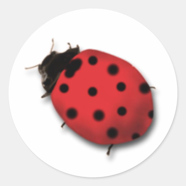 Stickers Ladybug (Devant)