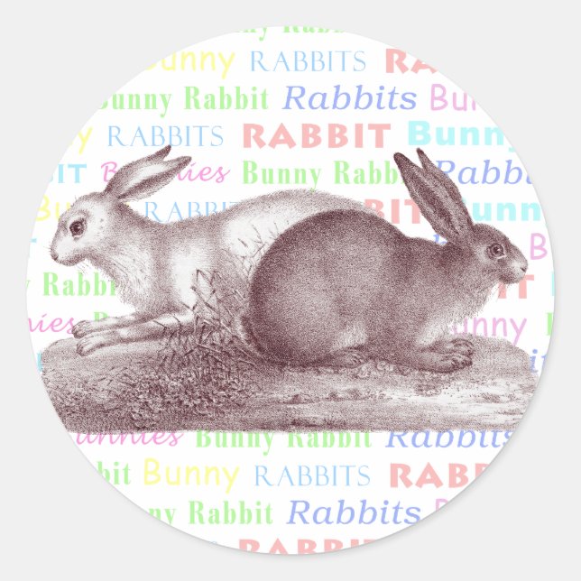 Stickers Lapin Lapin - Habillez Vos Paquets (Devant)