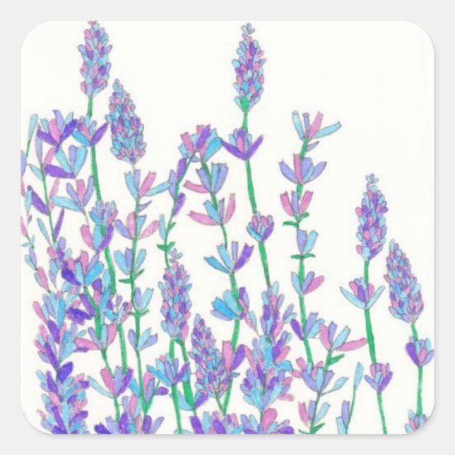 Stickers Lavender Field (Devant)