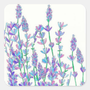 Stickers Lavender Field