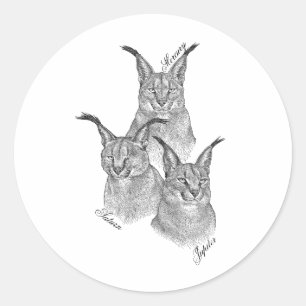 Stickers - Les planètes