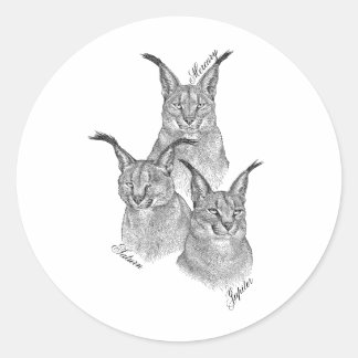 Stickers - Les planètes