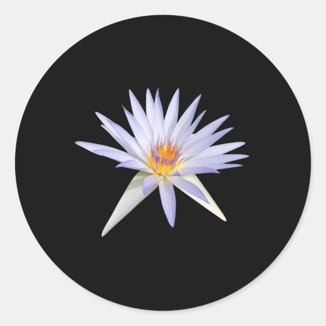 Stickers Lily d'eau (Devant)