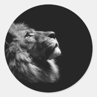 Stickers Lion