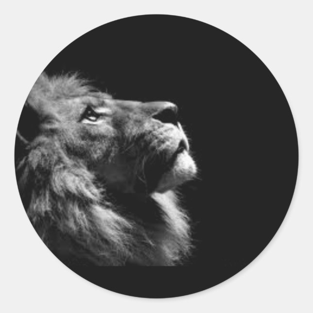 Stickers Lion (Devant)