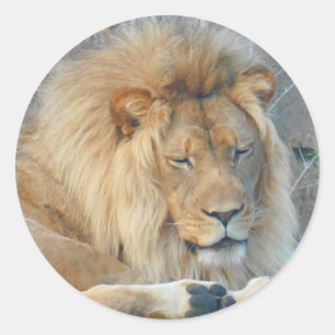 Stickers Lion #2