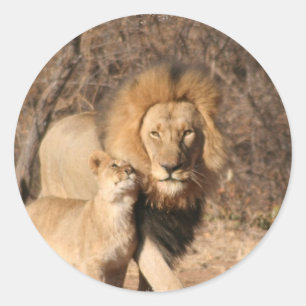 Stickers Lion et Lion Cub