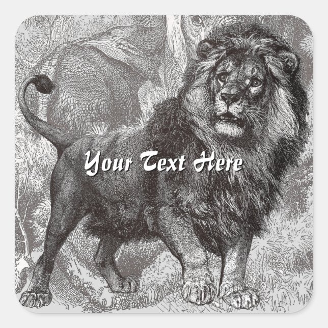 Stickers Lion vintages (Devant)