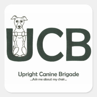 Stickers Logo UCB