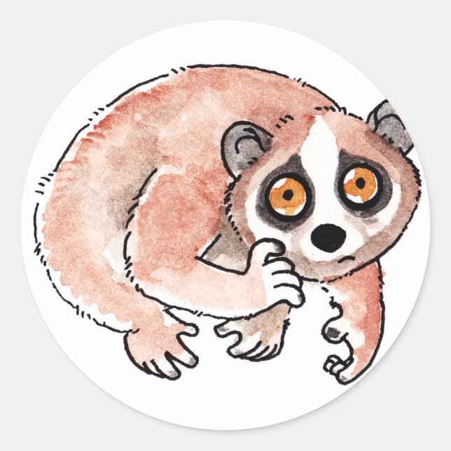 Stickers Loris Lents (Devant)