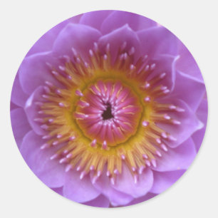 Stickers Lotus Flower
