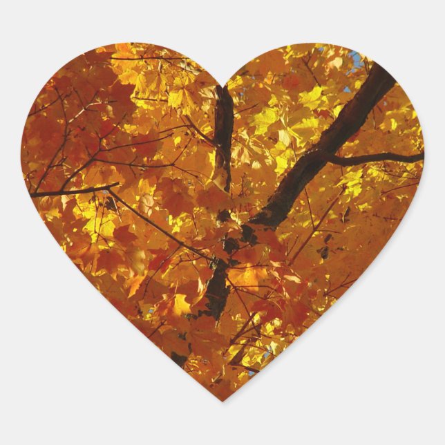 Stickers Love Nature - Fall Foliage (Devant)