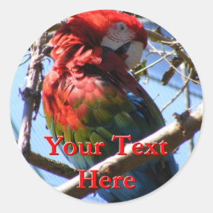 Stickers Macaw