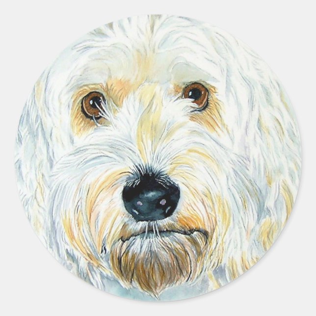Stickers Maggie Labradoodle Blanc (Devant)