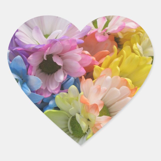 Stickers - Maisées multicolores II (Devant)