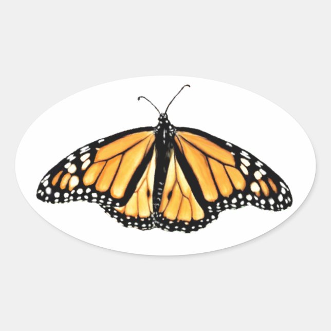 Stickers Male Monarch Papillon (Devant)