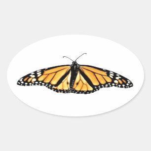 Stickers Male Monarch Papillon