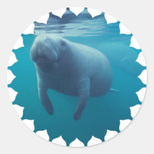 Stickers Manatee