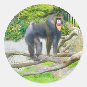 Stickers Mandrill #7