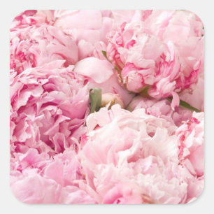 Stickers Mariage Peony Rose