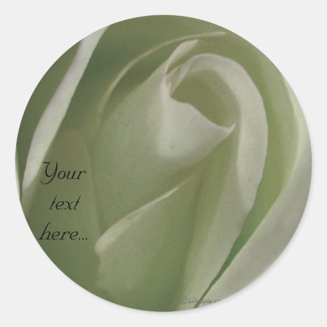 Stickers mariage rose blanche /Étiquettes ronds (Devant)