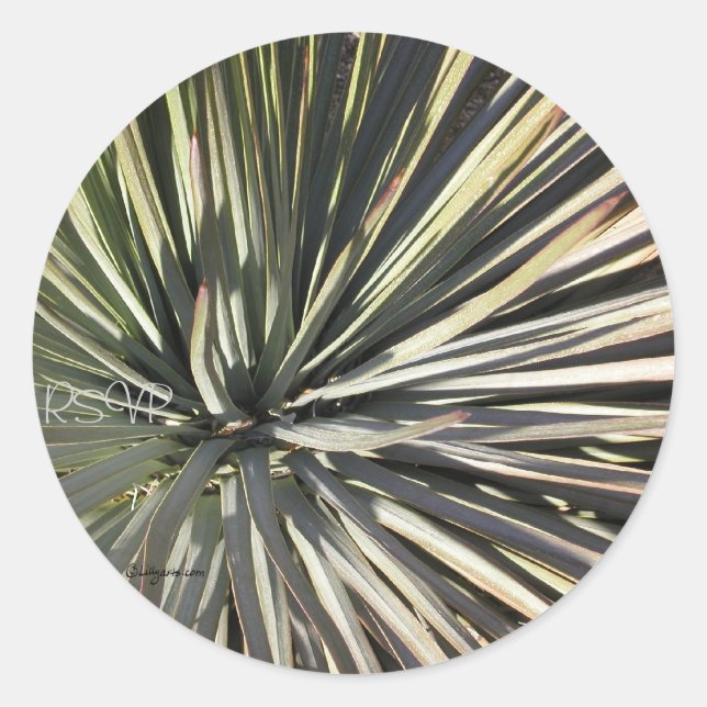 Stickers Mariage Yucca Radial RSVP (Devant)