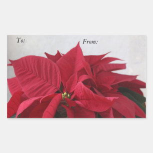 stickers marque cadeau de Noël poinsettias