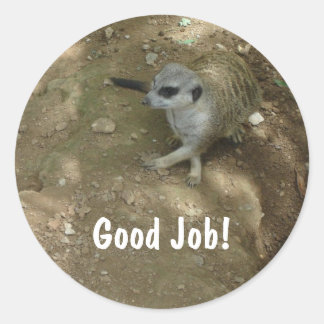 Stickers Meerkat
