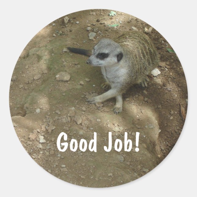 Stickers Meerkat (Devant)