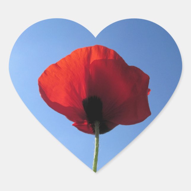 Stickers - Memorial Day Red Poppy Blue Sky (Devant)