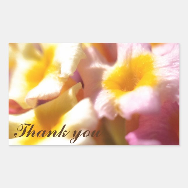 stickers Merci (Devant)