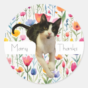 Stickers Merci en chats Fleurs Fleurs Cutes