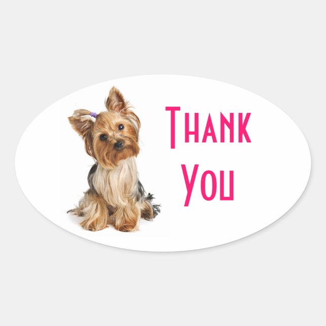 Stickers Merci Yorkshire Terrier Chien Chien Chien (Devant)