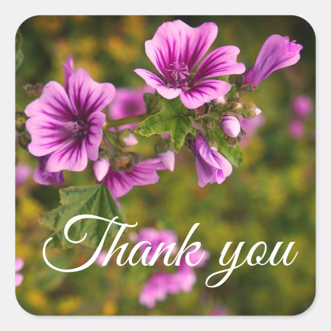 Stickers Merci Zebra Hollyhock Fleurs #2 (Devant)