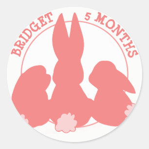 Stickers Milestone Mensuelle Bunnies Cute
