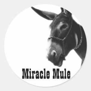 Stickers Miracle Mule