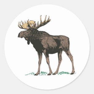 Stickers Moose