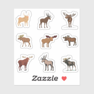 Stickers Moose