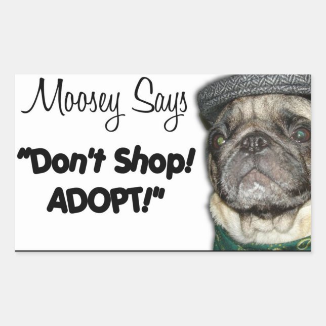 Stickers "Moosey Says" (Devant)