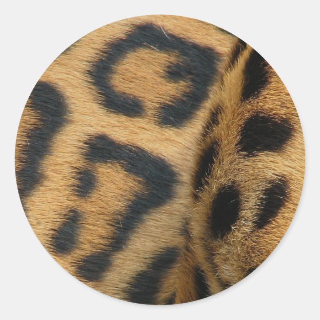 Stickers Motif Jaguar (Devant)