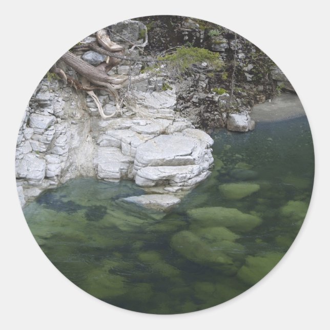 Stickers Motivation FOREST (Devant)