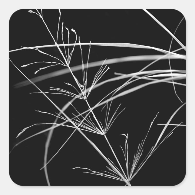 Stickers Nature Abstraite Grass (Devant)