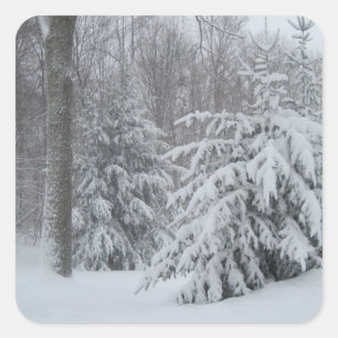 Stickers Neige En Nouvelle-Angleterre