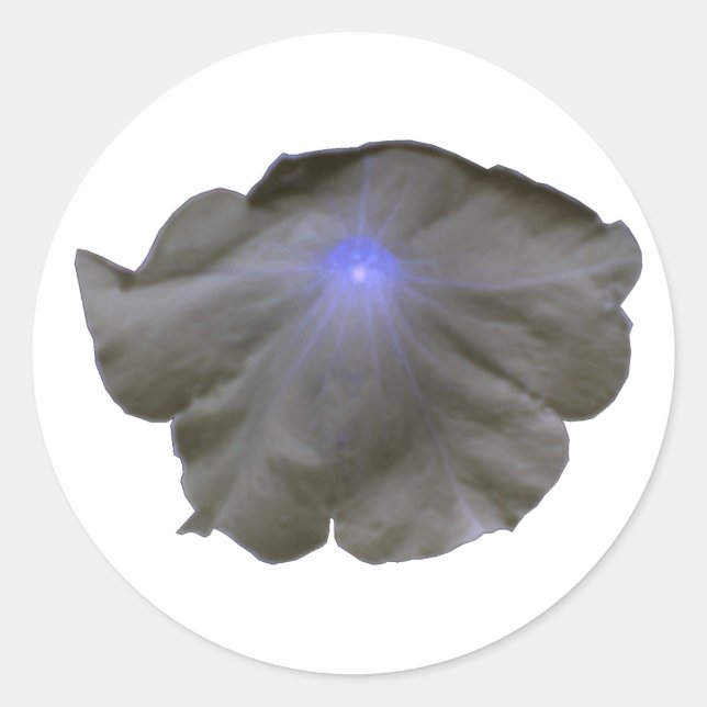 Stickers noir et bleu Petunia (Devant)