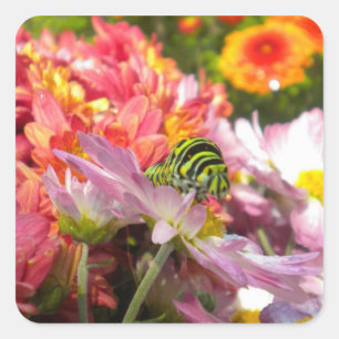 Stickers Nosy Caterpillar