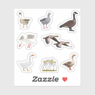 Stickers oies