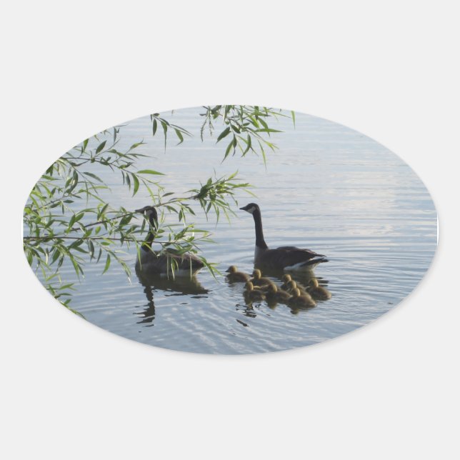 Stickers Oies sauvages (Devant)